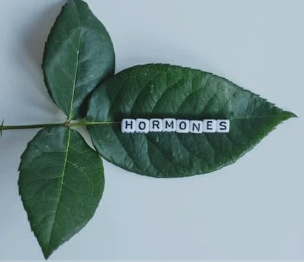 Hormones